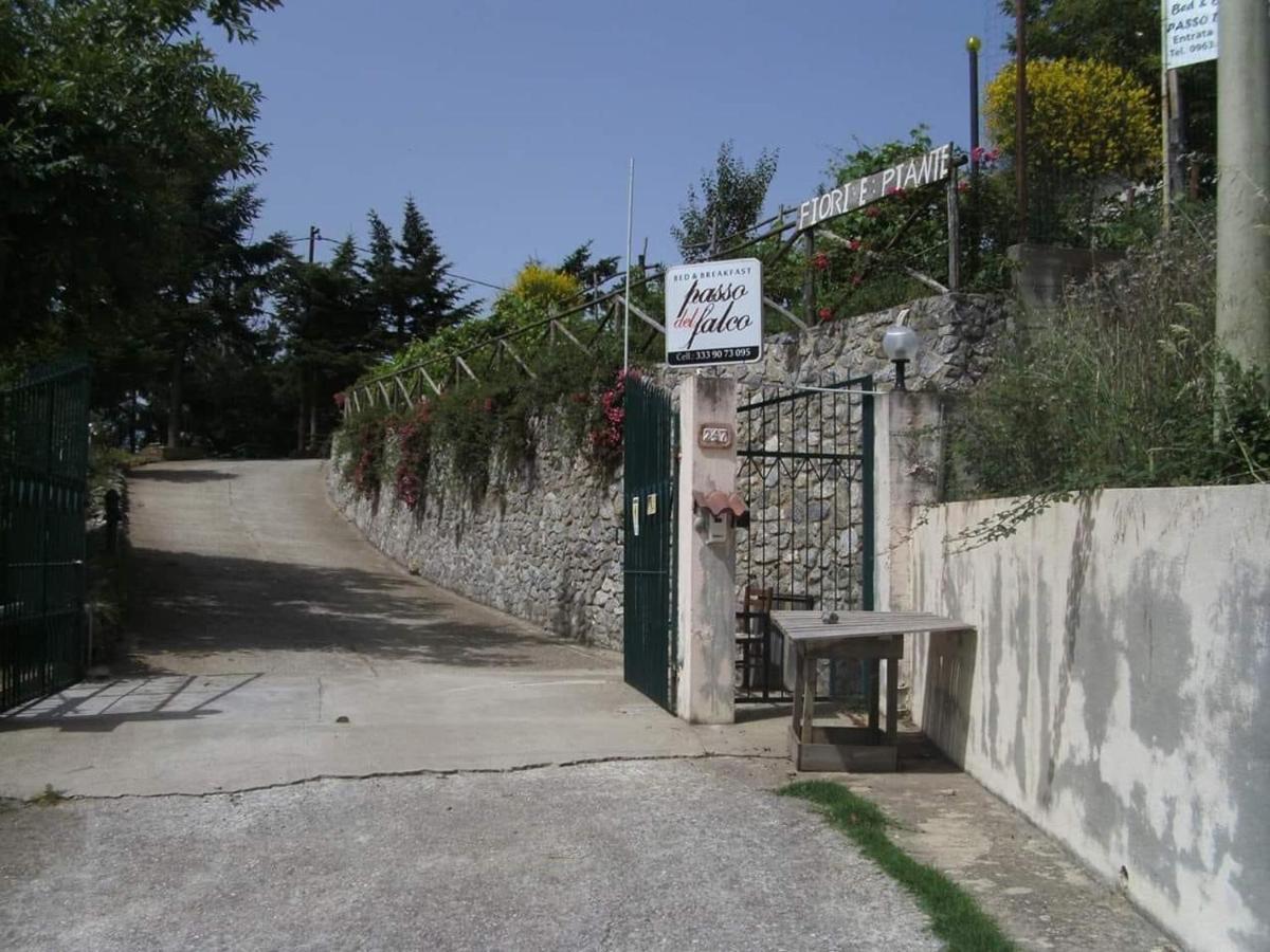 B&B Passo Del Falco Sorianello Extérieur photo